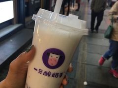 -一只酸奶牛(八一路店)