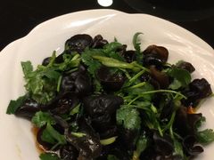 -新南华大酒店(广中店)