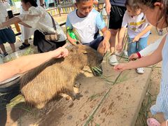 -西霞口神雕山野生动物世界