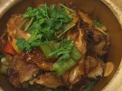 鱼头煲-粤秀小厨·广式早茶(辽宁路店)