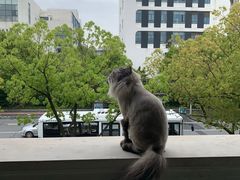 -董小姐咖妃·咖啡·简餐.意面(松江大学城店)