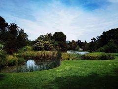 -墨尔本皇家植物园