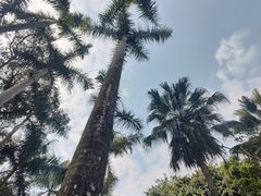 -中国科学院华南植物园