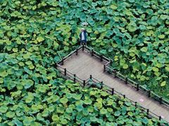 -清漾毛氏文化村