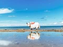 -青海湖国家重点风景名胜区