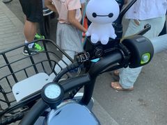 -九号电动车(安定门内大街店)