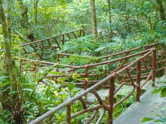 -海南热带雨林国家公园吊罗山景区