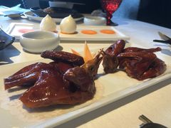 乳鸽-三号黄浦会Canton Table