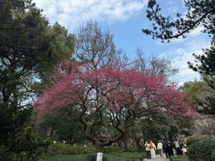 -杭州植物园
