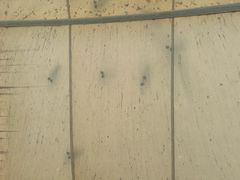 -海驴岛(荣成市)