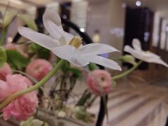 -北京四季酒店