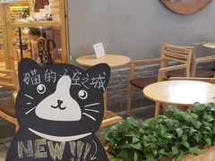 -猫的天空之城概念书店(印象城购物中心店)