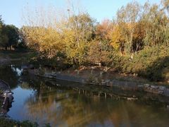 -大兴滨河森林公园