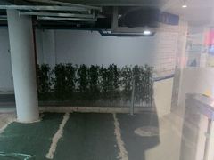 -汕头市游泳跳水馆