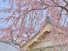 -醍醐寺
