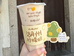-猫的魔法密林(衣裳街店)