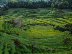 -灵山景区梯田