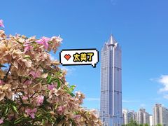 -万绿园