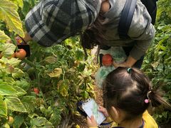 -万源龙顺度假庄园生态观光园