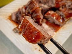 荔枝柴烧鹅-胜记烧鹅美食