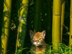 -苏州河梦清园环保主题公园