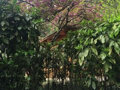 温泉池-黄山温泉国际旅游度假区