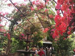 -The Grounds of Alexandria