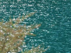 -叠溪松坪沟景区