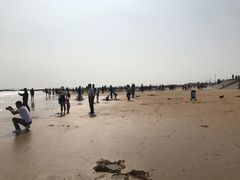 -日照灯塔风景区