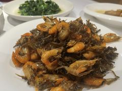 -老吉士酒家(天平路店)