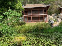 -深圳国际园林花卉博览园