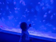 -沈阳海洋探索中心