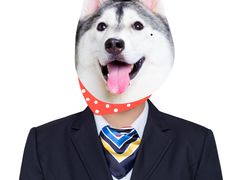 -iF摄影•全家福•证件照•形象照(南山店)