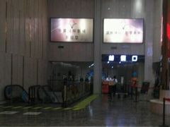 -武汉华夏国际影城(鲁广店)