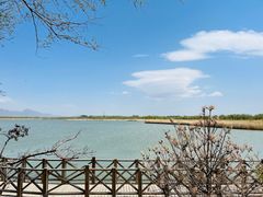 -野鸭湖国家湿地公园