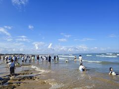 -日照海滨国家森林公园