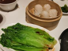 -金鼎轩(方庄天坛店)