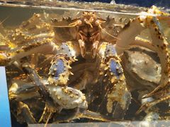 -海景壹号大酒店(滨湖店)