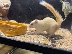 -太平洋海底世界