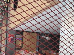 -杨氏青龙虾·羊蝎子(托乐嘉店)