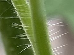 -宜昌富力皇冠假日酒店·咖啡1号西餐厅