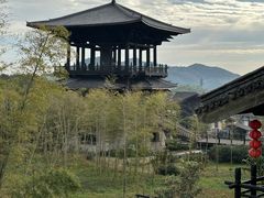 -大唐贡茶院
