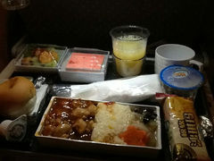 这米饭完全没口感-新加坡航空公司(ION)