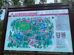 -东平国家森林公园