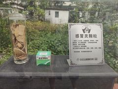 -广州神农草堂中医药博物馆