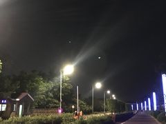 -太湖湖滨国家湿地公园-停车场