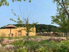 -沈阳森林动物园