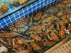 -星记小馆·小蓝龙·老南京砂锅菜(上海路店)