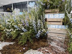 -杭州萧山国际机场