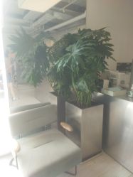 -Hair  Gallery